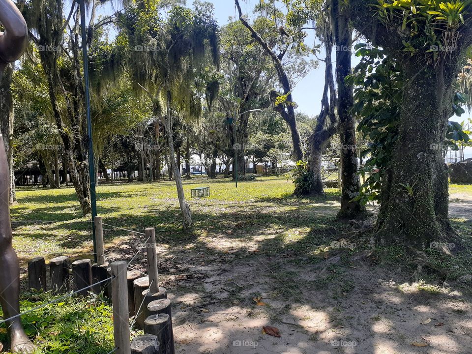 Parque e Natureza