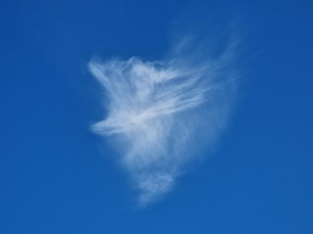Fluffy cloud
