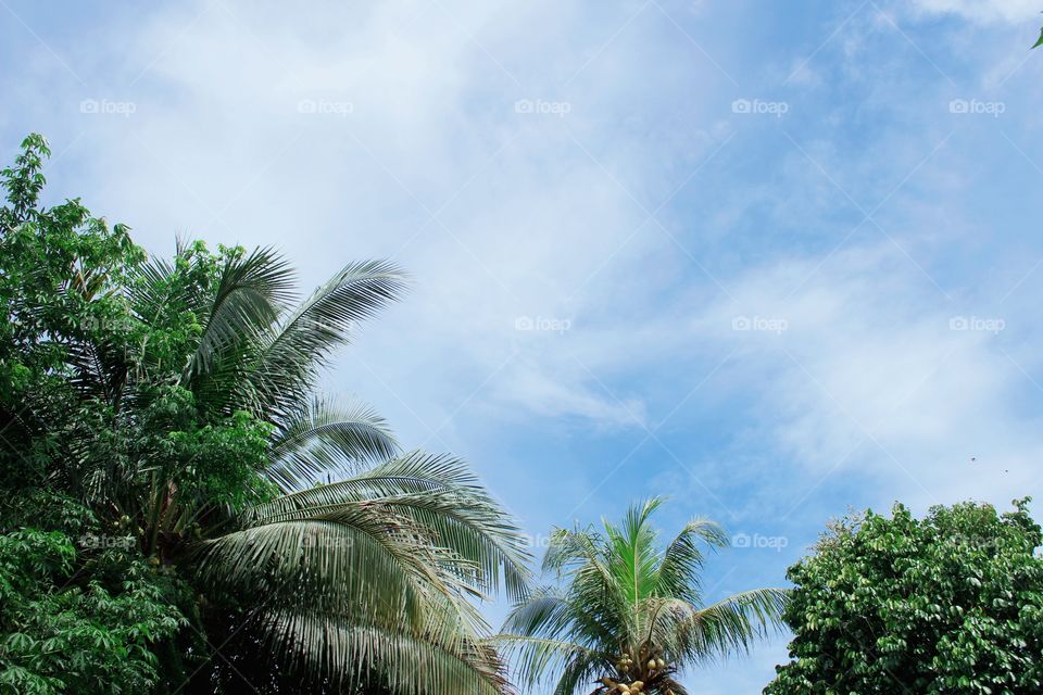 It looks like the clouds are wiping the clear sky during the day and so bright that there is no sign of rain