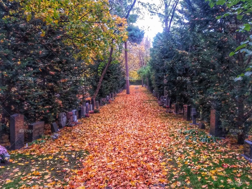 Cemetery on autumn