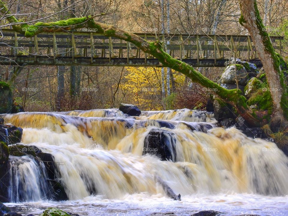 Waterfall in Autumn