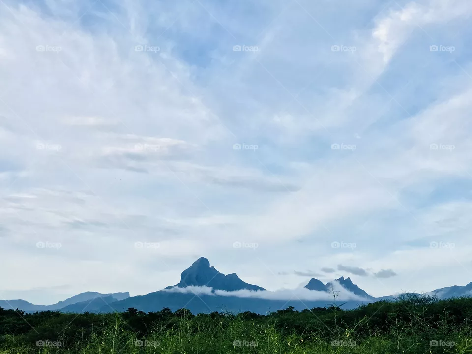 Nature