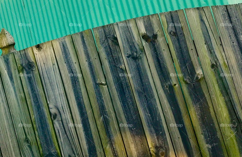 Close-Up Fence & Green Wall