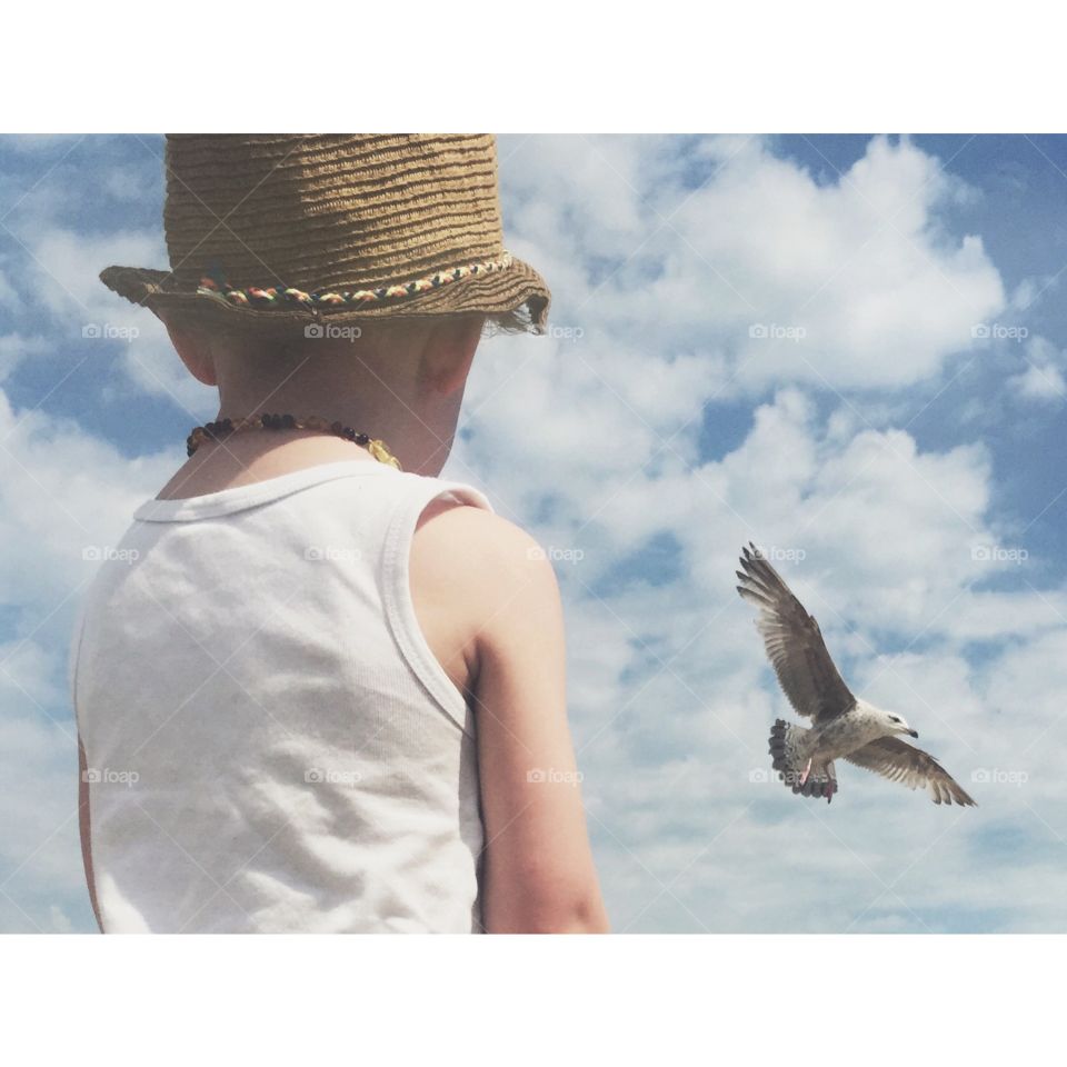 Boy and seagull. My son watching and feeding seagulls at the beach.
