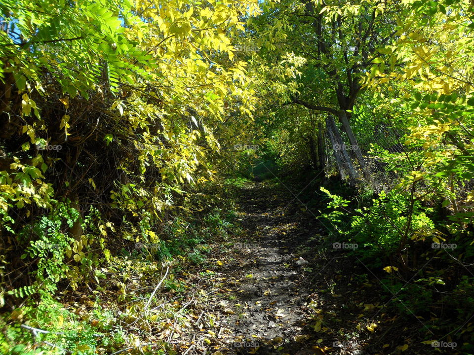 Beautiful rural life