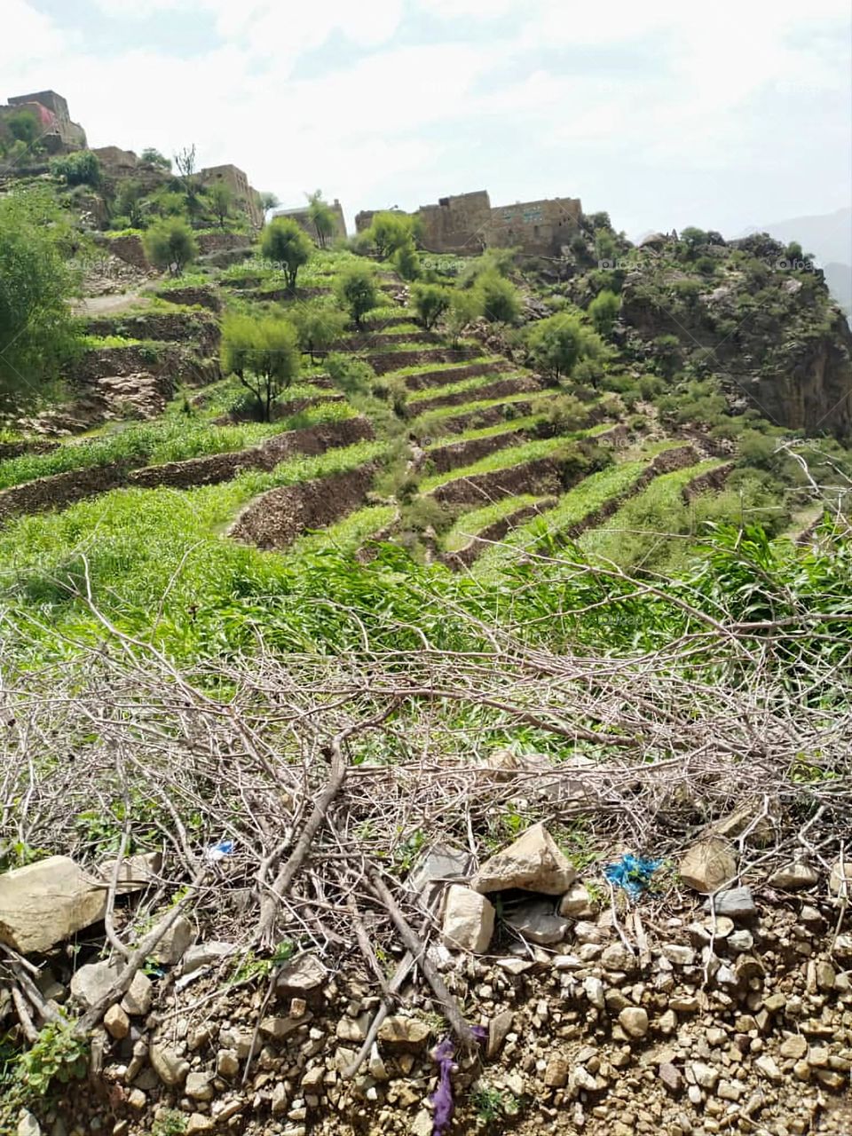Glory be to God, the magnificent and picturesque view and the natural green trees are a view that is nothing more wonderful than it