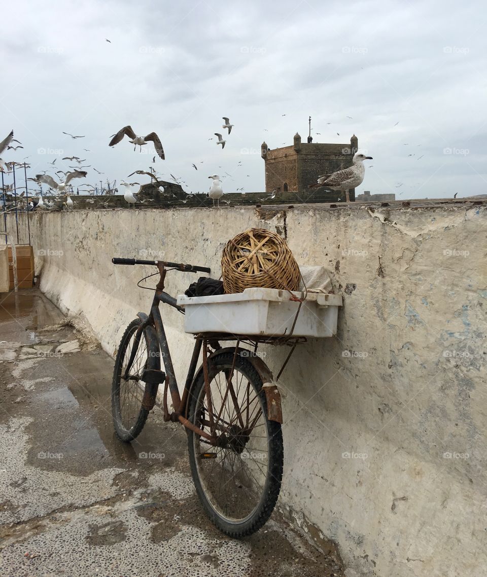 Wheel, Transportation System, Travel, Vehicle, No Person