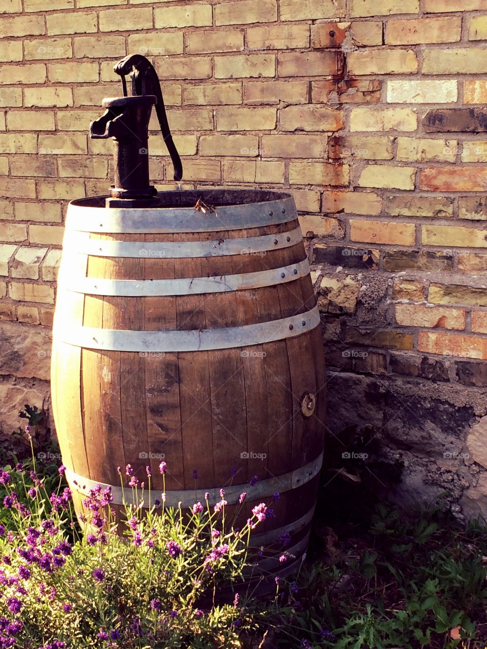 Rain barrel 
