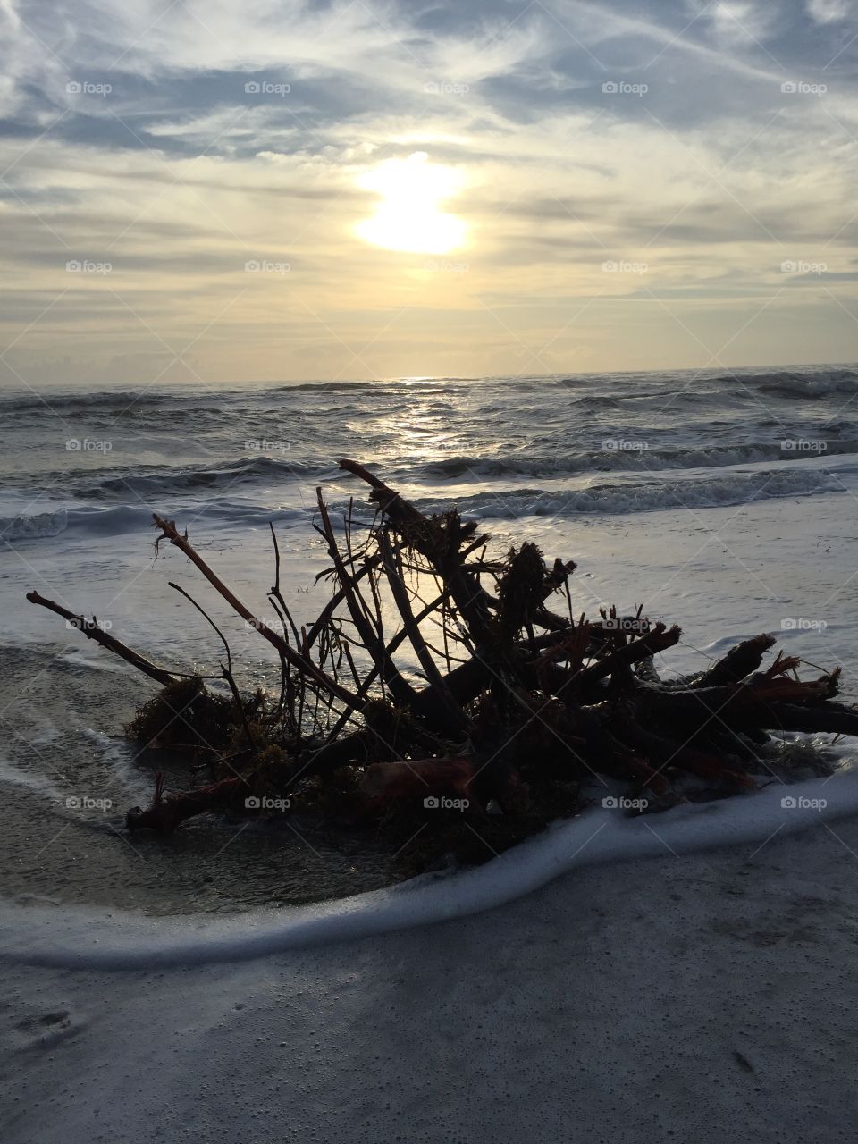 Surf. Beach. Storm debris. Light.  Branches. Roots. Sky