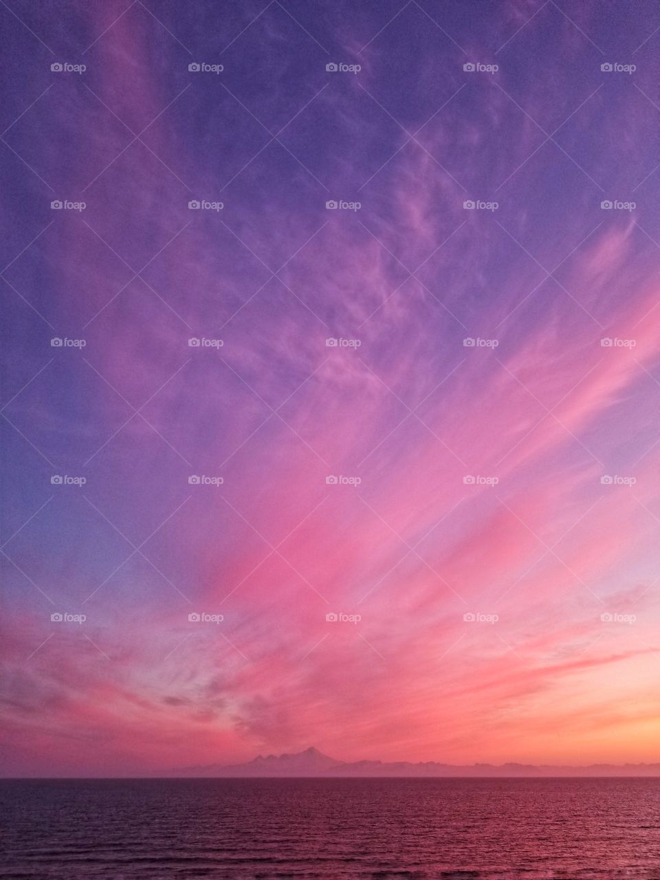 Beauty in all things