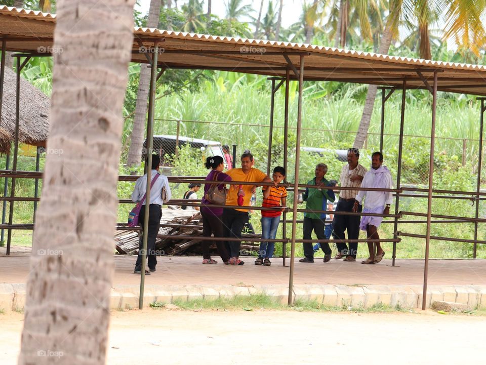 Wood, Summer, Travel, Outdoors, Tree