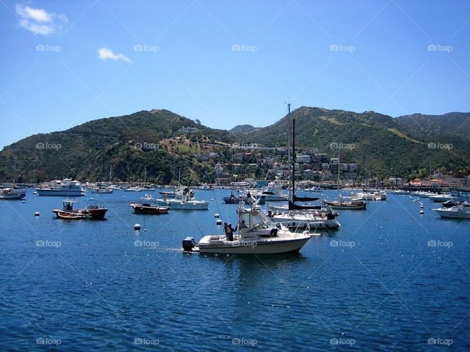 Catalina
