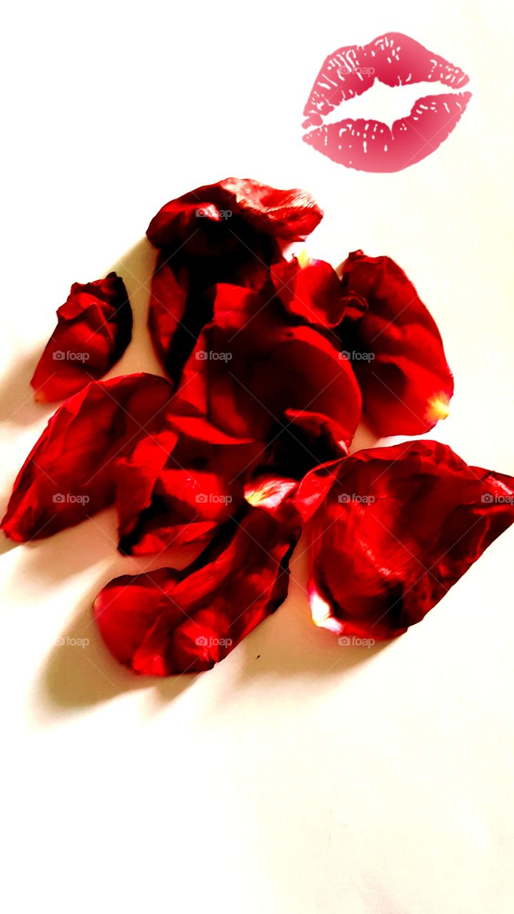 kisses red petals