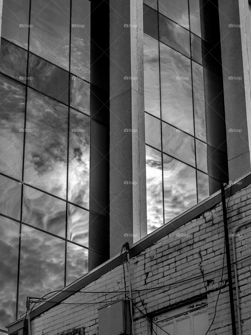 Reflections of Nature in Architecture