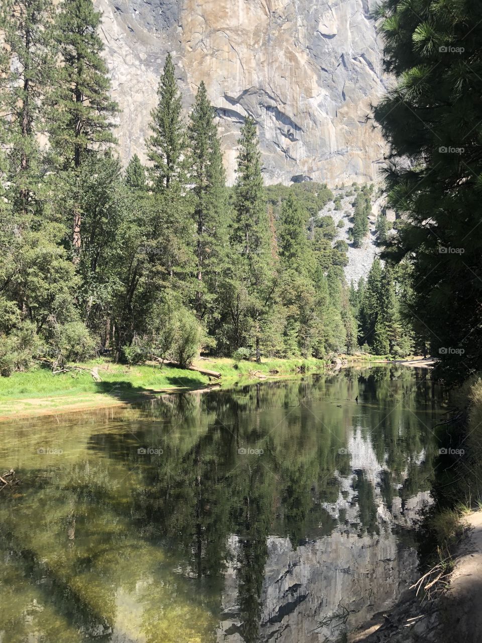 Merced river in Yosemite national park 