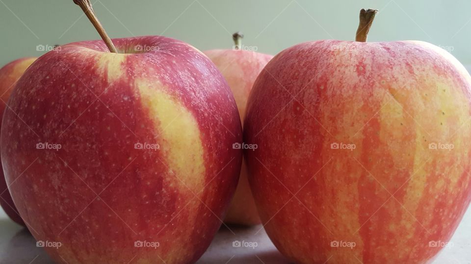 gala apples