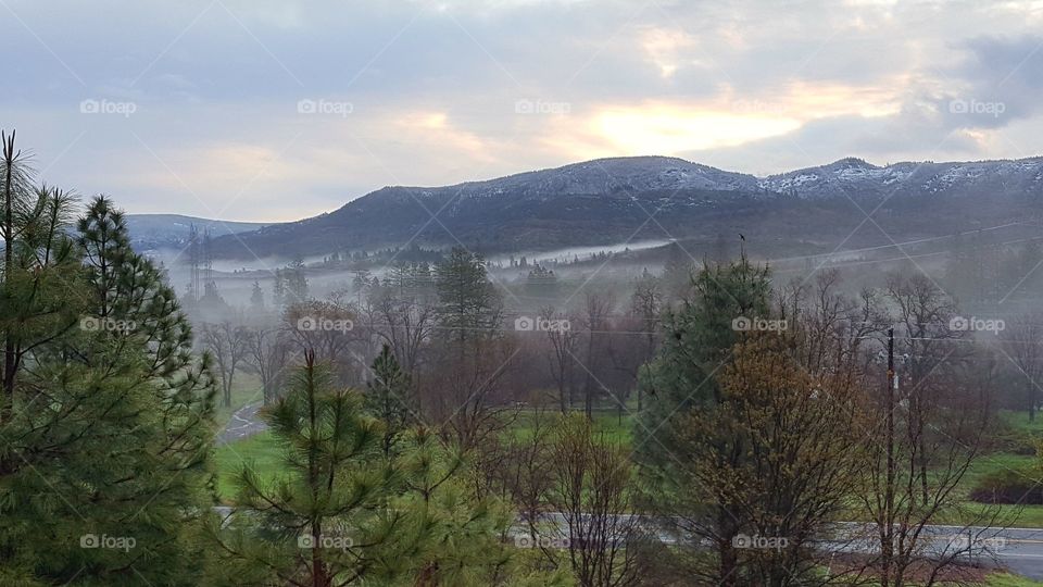 taken this morning from my front porch after two days of stormy weather. a combination of fog, snow, and sunshiney sunrise.