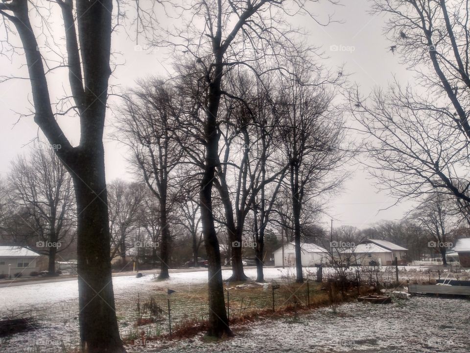 Brr it's cold outside, let it snow now so we can have beautiful spring flowers later.