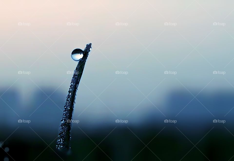 water droplet on planet