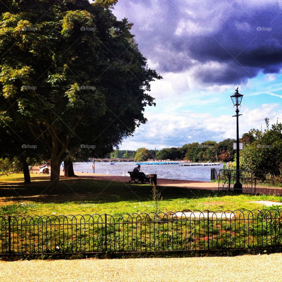 garden nature pretty grass by Zita