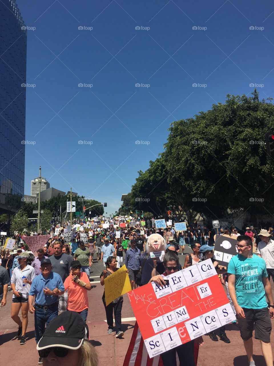 March for Science
Los Angeles, California