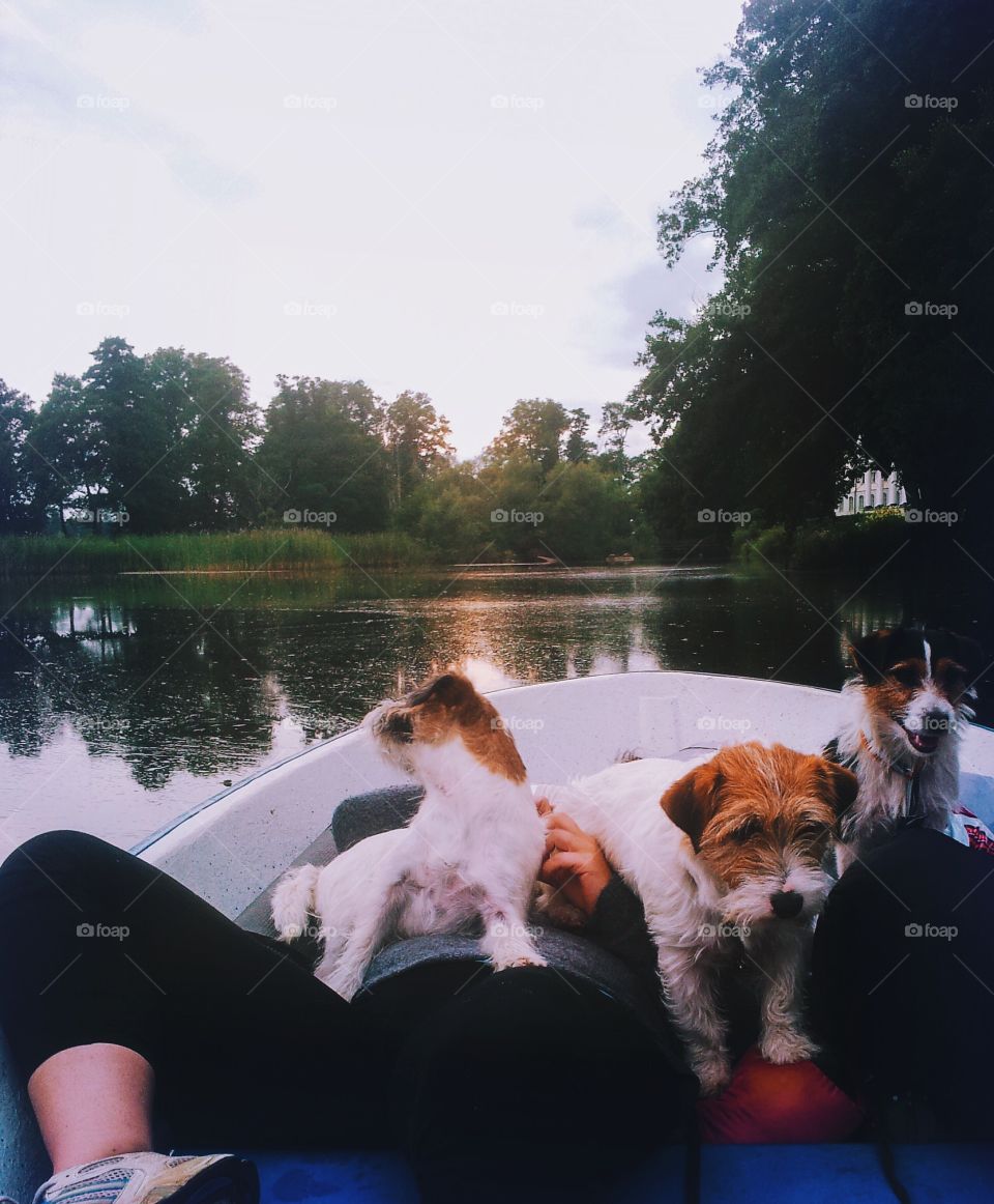 By boat. Family taking a boat tour