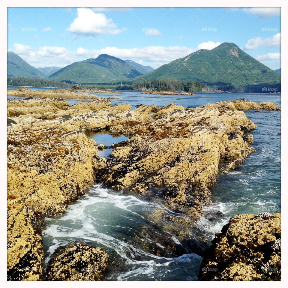 A view of Side Bay, Vancouver Island.