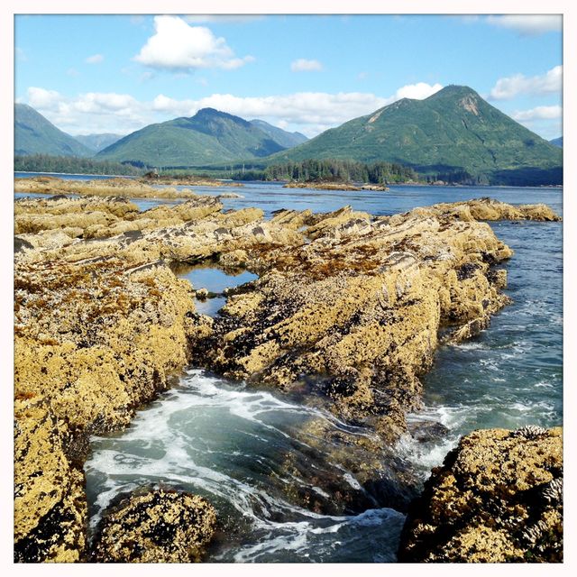 A view of Side Bay, Vancouver Island.