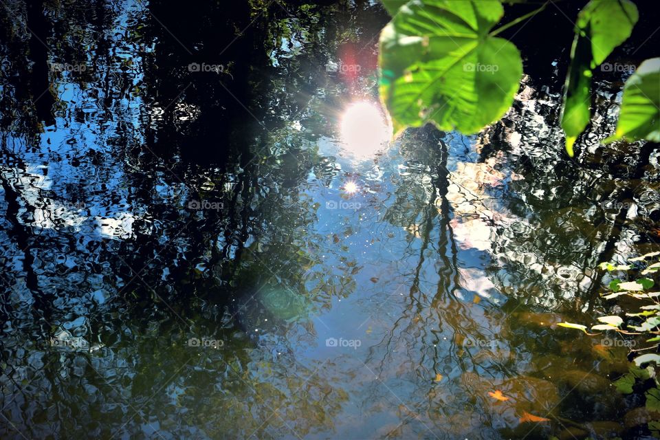 beautiful reflection of the sun