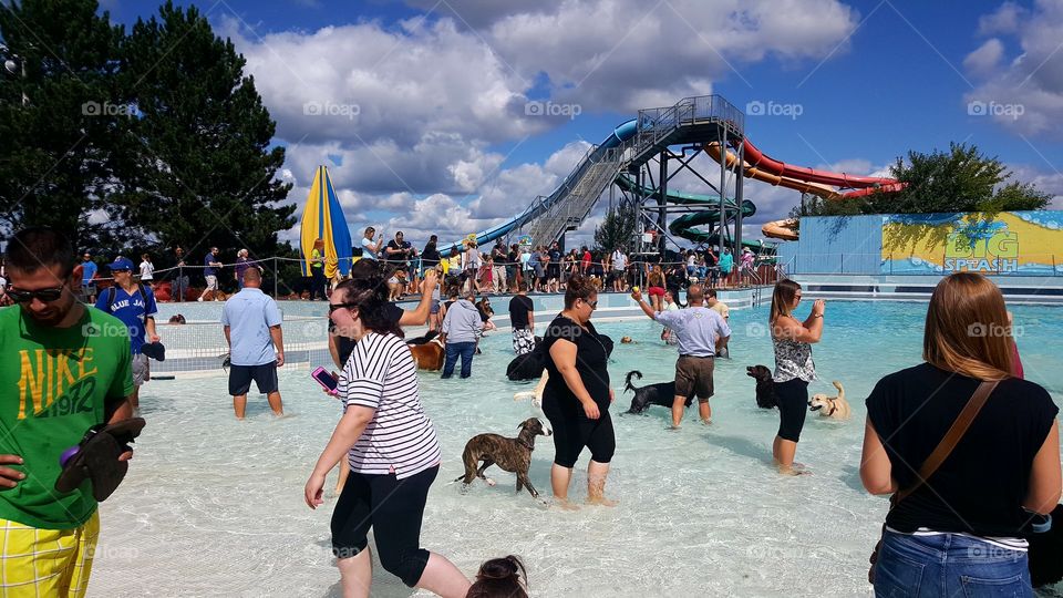 People, Group, Competition, Group Together, Festival