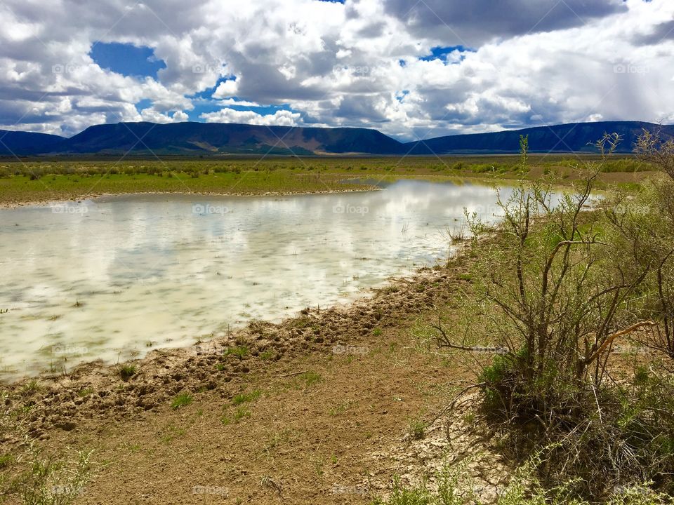 Watering hole