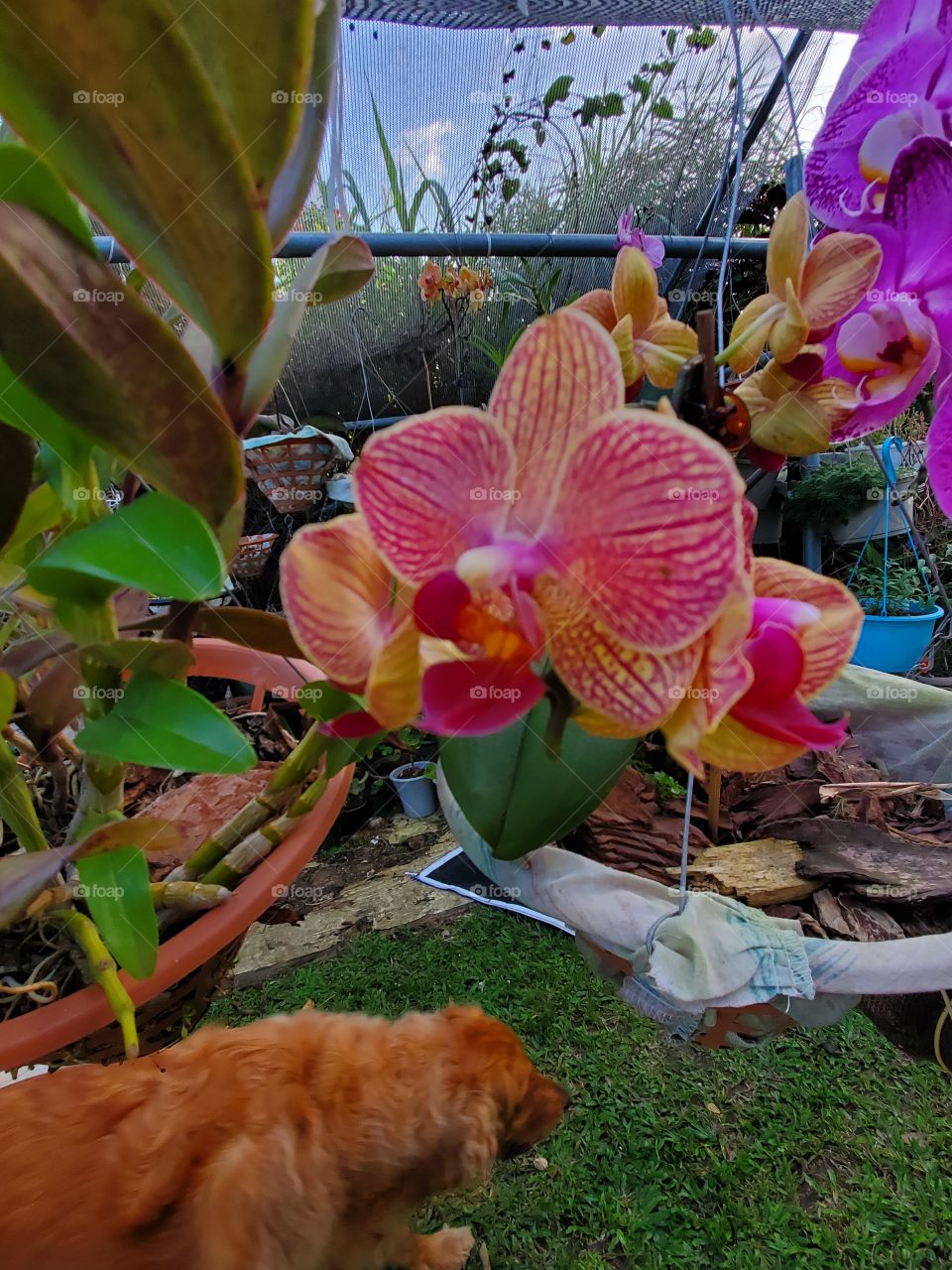 wonderful mother nature