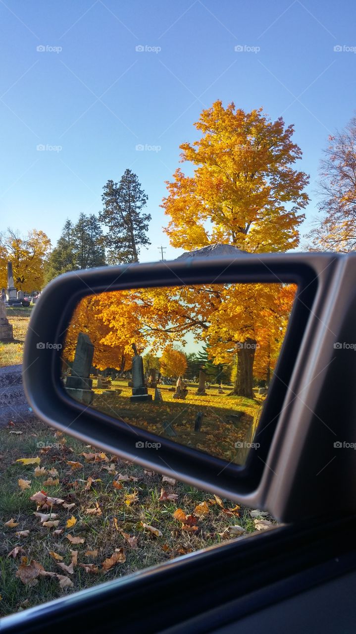 Autumn Reflected