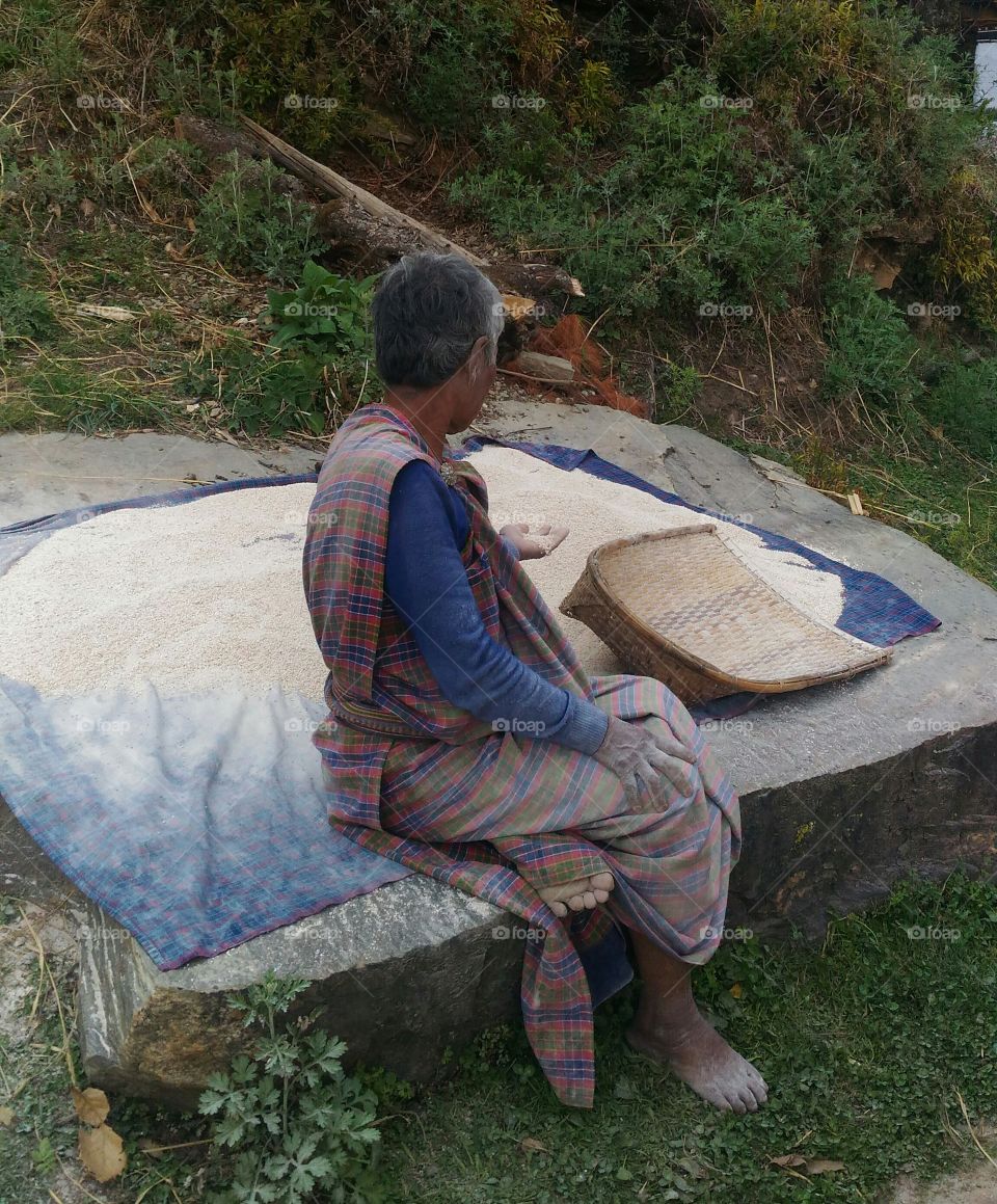 Bhutan,s  lady cleaning rice.....