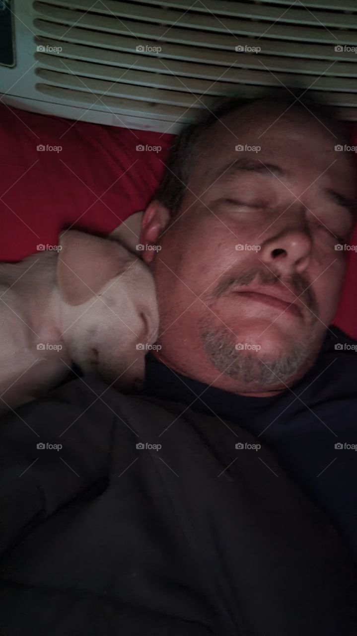 Baby Bear sleeping with Daddy