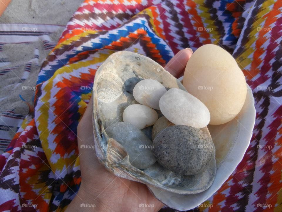 collecting seashells