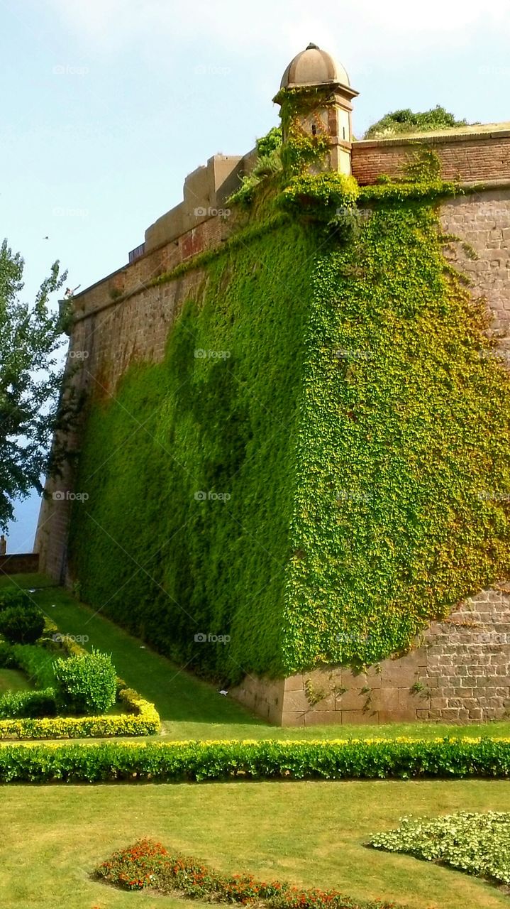 nature's claim of the castle walls