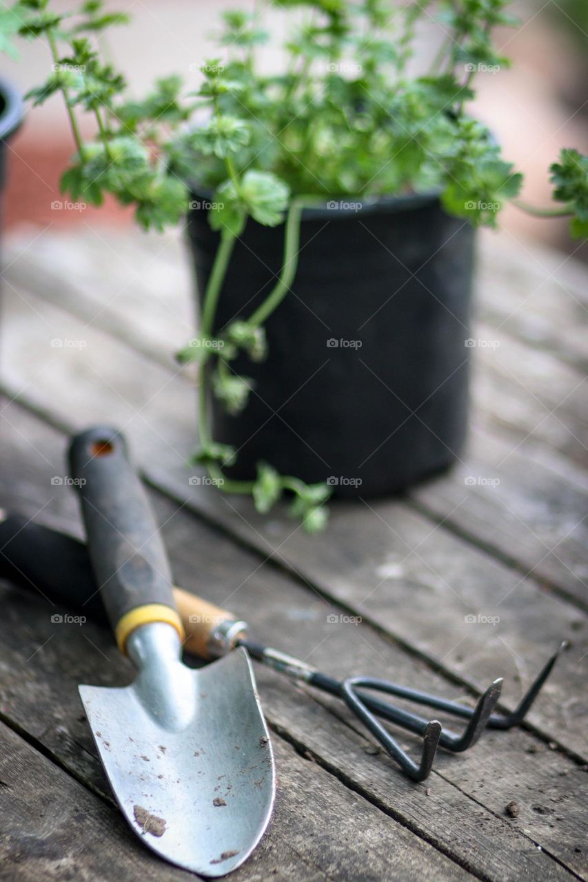 Gardening