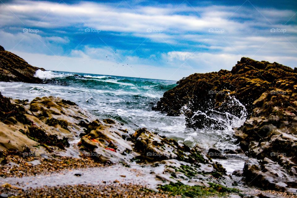 Rocky Seashore
