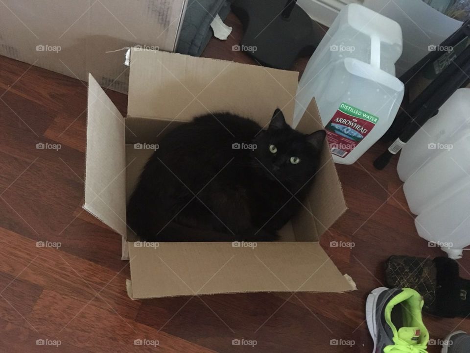 Room, Indoors, Family, Furniture, House