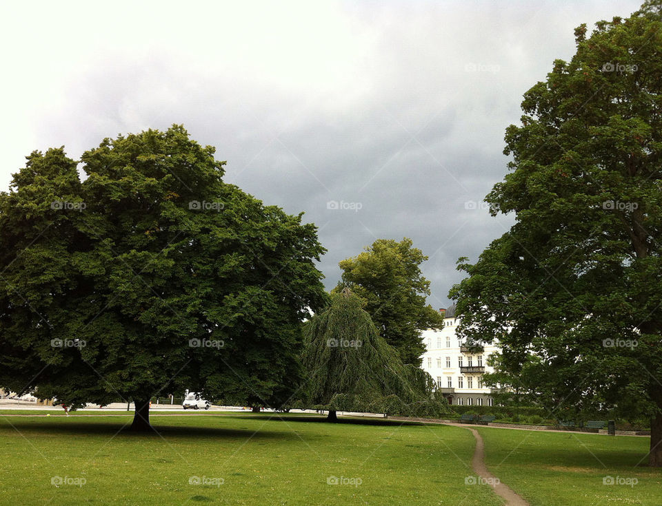malmö sweden grass tree by ingrid13