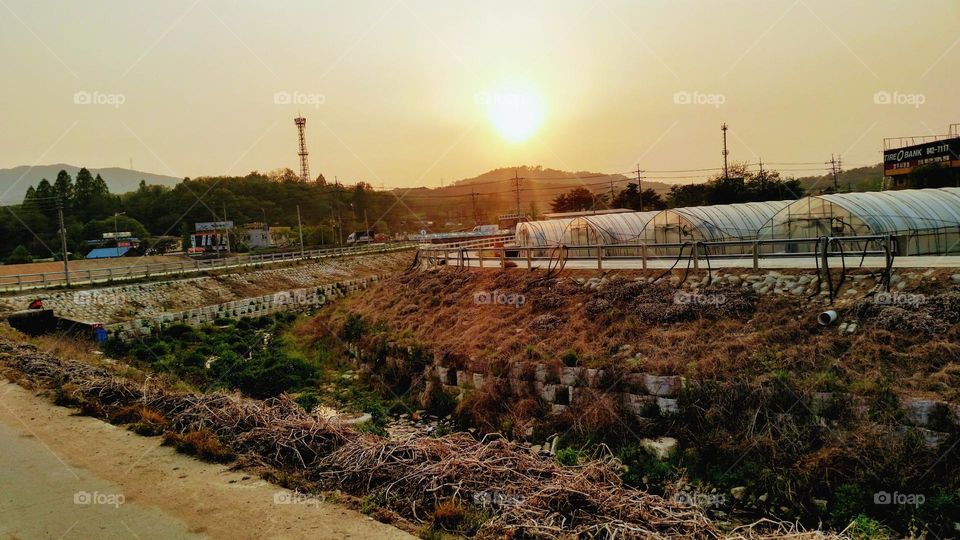 colors of the spring