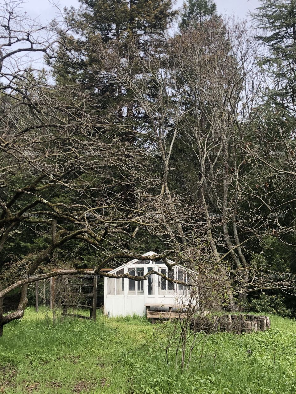 Green house at the farm