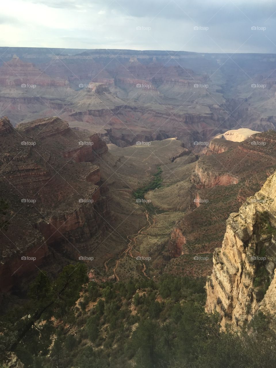 Grand Canyon view