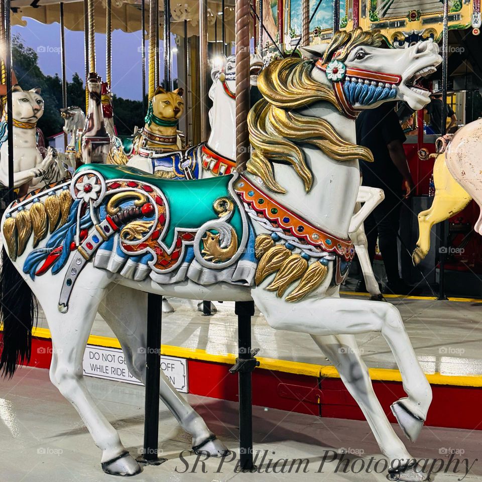 Carousel Horse
