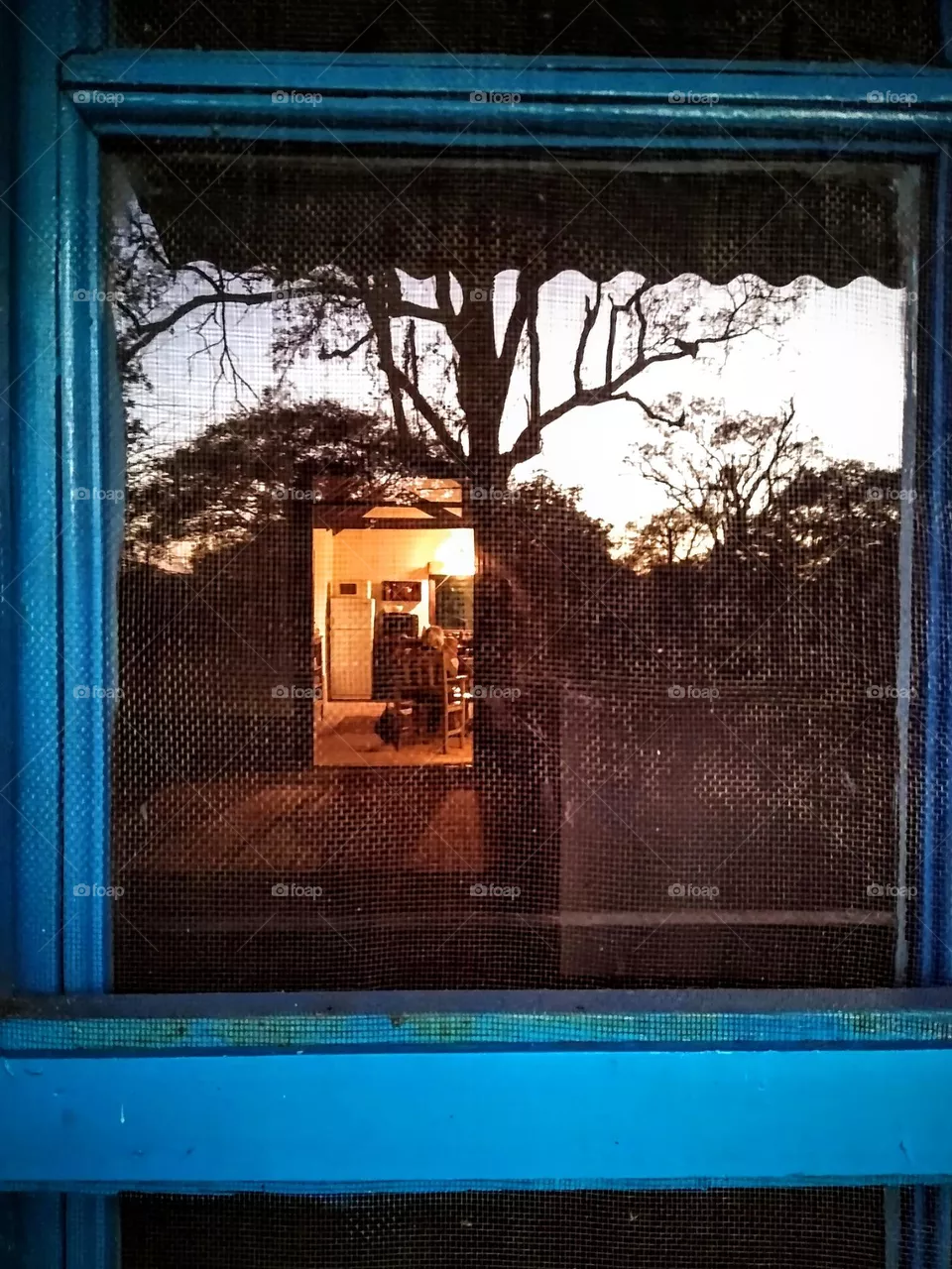 Ventana