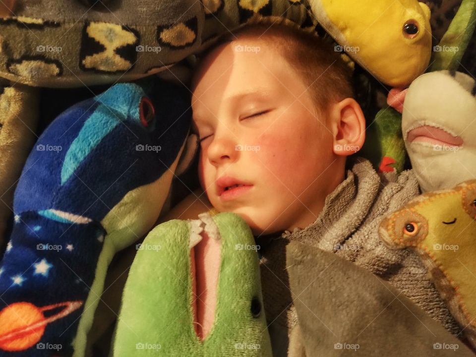 Boy Sleeping Peacefully. Boy Napping Surrounded By Stuffed Animals
