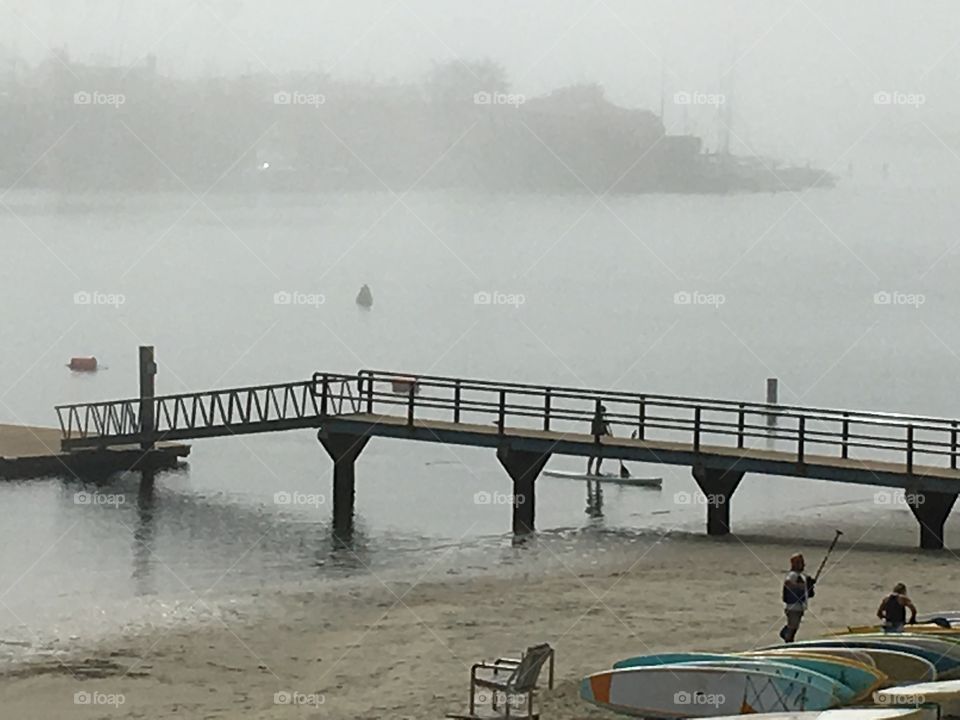 Morning fog on the bay