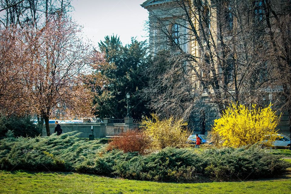 Park at the spring time