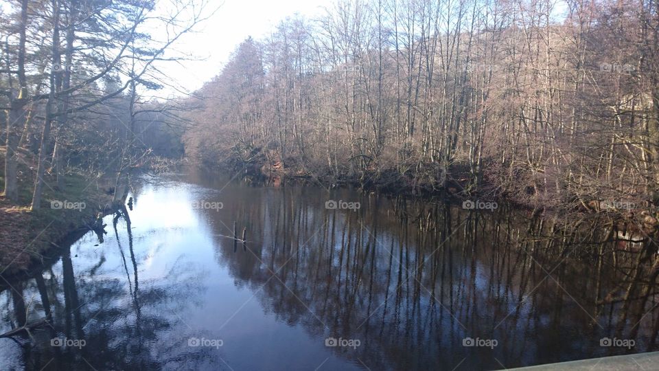 reflections on the river